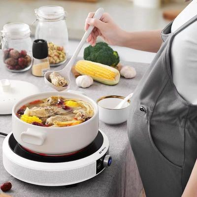 Piezoelectric Ceramic Ignition Electric Portable Induction Cooker with Touch Control