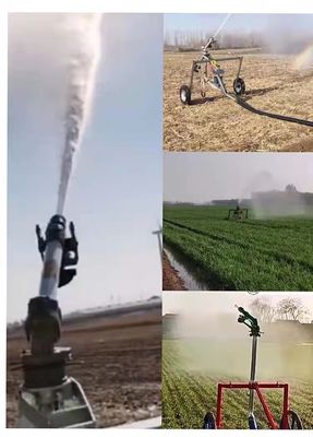 Electric Power Source Hose Reel Sprinkler Irrigation Machine NO Private Mold