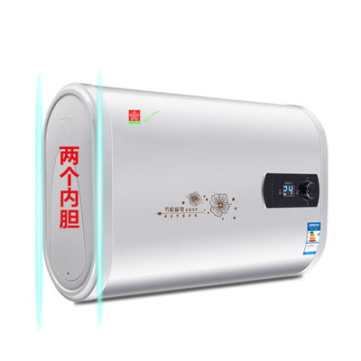 60L Capacity Modern Electric Water Heater with Pulse Ignitor and Instant / Tankless Design