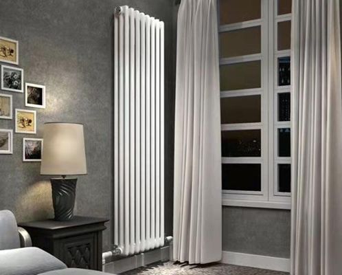 Antique and Luxuriant Decorative Cast Iron Radiator for Domestic Water Central Heating