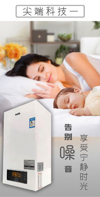 Balance Exhaust Type Wall Mounted Combi Gas Boiler Perfect for Living Room Heating