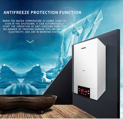 Fast Heating Gas Combi Boiler for Heating and Hot Water Advantage NO Private Mold