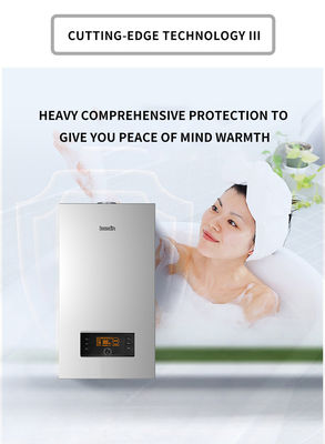 Private Mold 24KW Wall Mounted Gas Boiler for Home Heating Tankless Instant Gas Water Heater