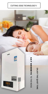 Private Mold 24KW Wall Mounted Gas Boiler for Home Heating Tankless Instant Gas Water Heater
