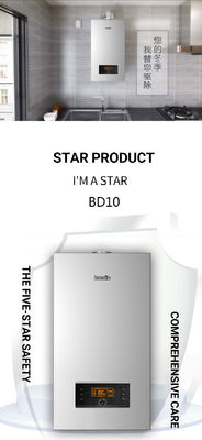 Wall Mounted 220V Gas Combi Boiler with Overheat Protection and Advanced Technology