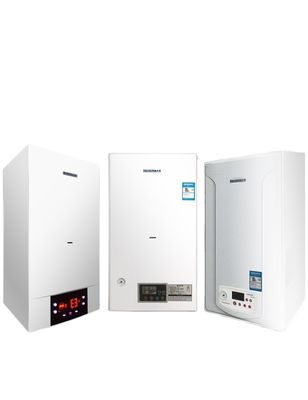18KW Natural Gas Wall Mounted City Hot Water Boiler with Flame Failure Protection