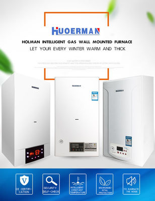 Customizable Metal Shell Gas Water Heater with Adjustable Thermostat Function