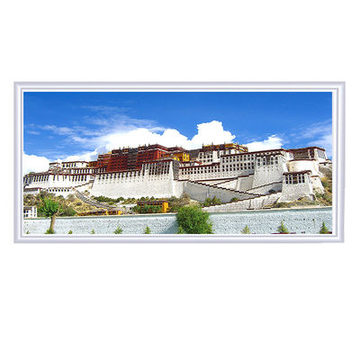 Adjustable Thermostatic Controller for Household Infrared Radiant Ceiling Room Heater