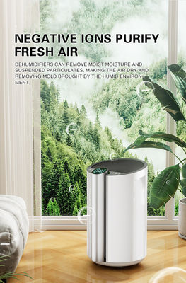 NO App-Controlled Desktop Dehumidifier for 120 sq. ft. Coverage Area and Home
