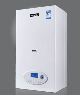240-260 Square Meters Heat Area Wall Mounted Gas Boiler with Flue-Blockage Protection