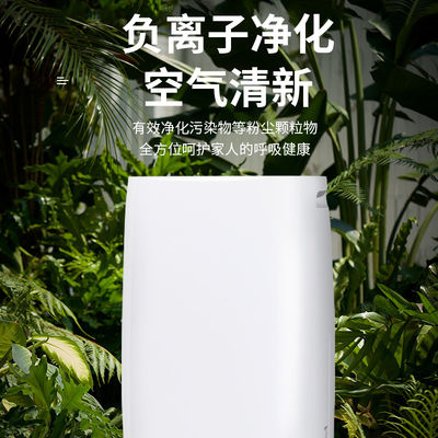Home Remote Control Desiccant Dehumidifier with Air Purifier Small and Moisture Control