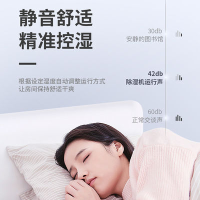 Home Remote Control Desiccant Dehumidifier with Air Purifier Small and Moisture Control