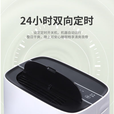 Home Remote Control Desiccant Dehumidifier with Air Purifier Small and Moisture Control