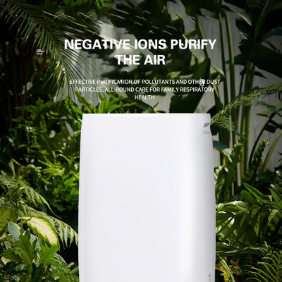 Home Electric Dehumidifier with Air Purifier 11KG 30L Dehumidifying Capacity