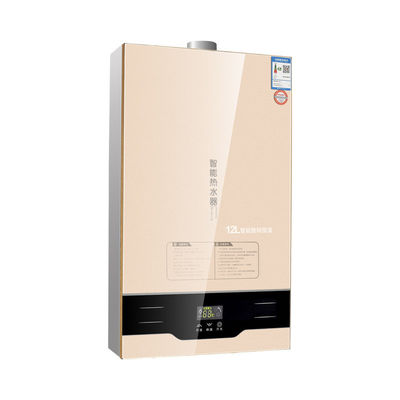 Power Source Gas Outdoor Water Heater The for Constant Temperature RVs and Hot Water