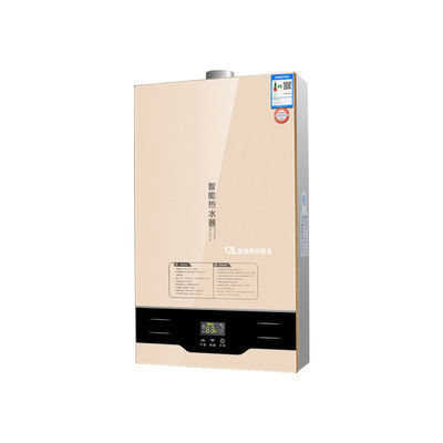 Power Source Gas Outdoor Water Heater The for Constant Temperature RVs and Hot Water