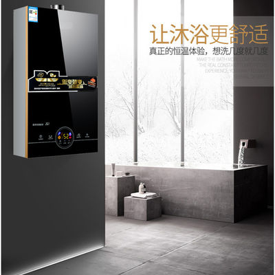 Power Source Gas Outdoor Water Heater The for Constant Temperature RVs and Hot Water