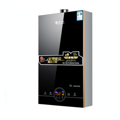 Tankless Instant Gas Water Heater Portable LPG Delicate Appearance for House Heating