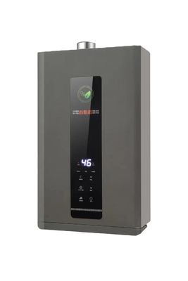 Car Gas Water Heater 8L/10L/12L/16L LPG/LNG Instant Tankless Propane for House Heating