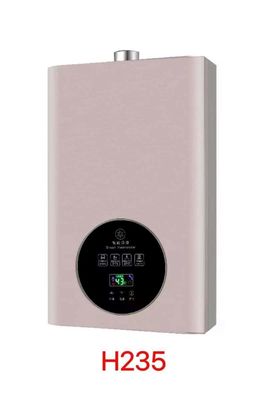 Car Gas Water Heater 8L/10L/12L/16L LPG/LNG Instant Tankless Propane for House Heating